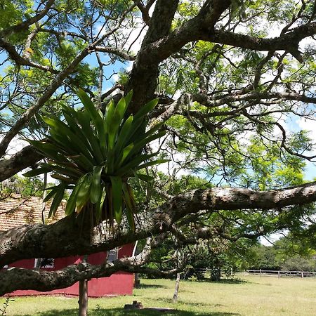Aldeia Santuario Das Aves Tavares Habitación foto