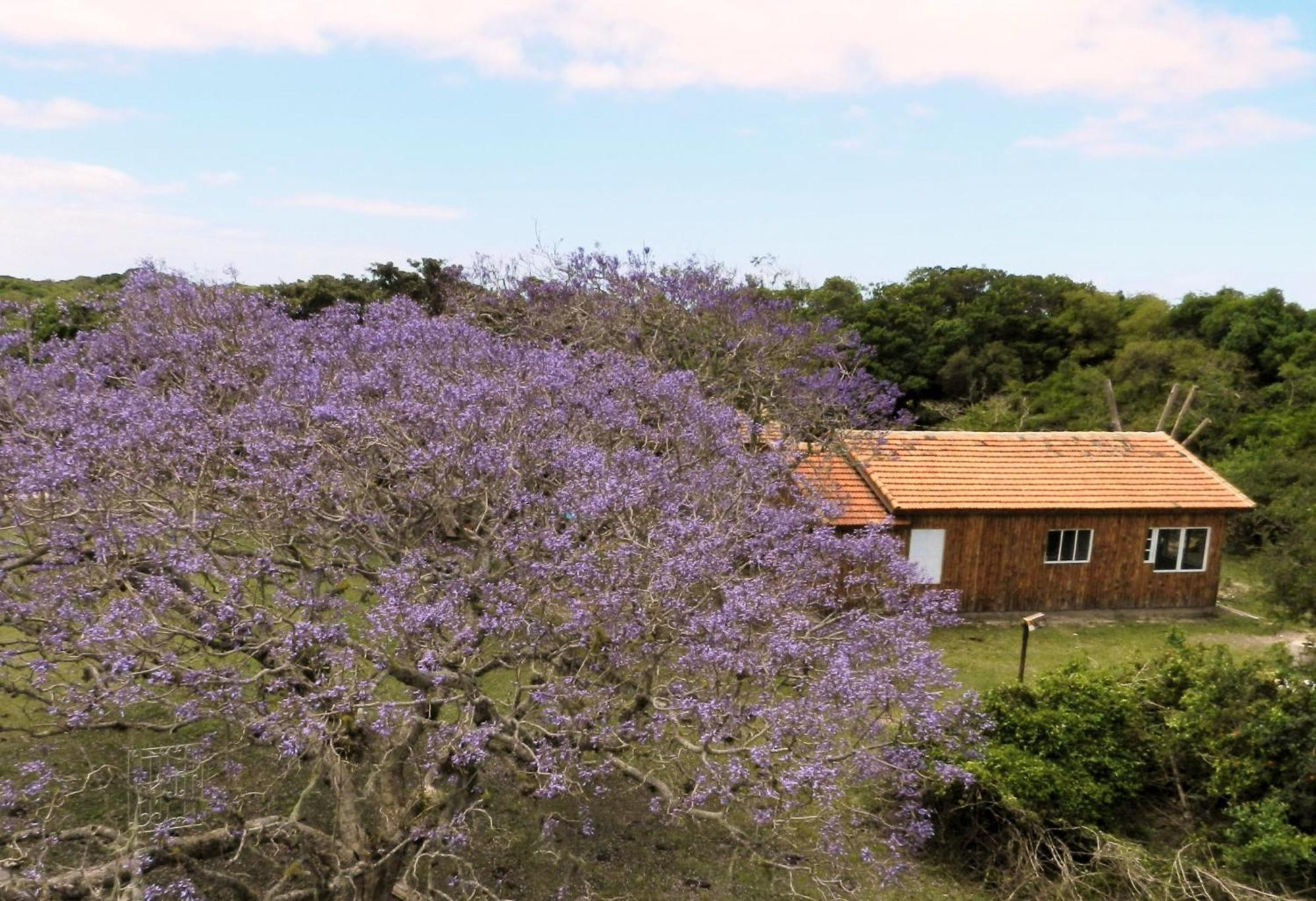 Aldeia Santuario Das Aves Tavares Habitación foto