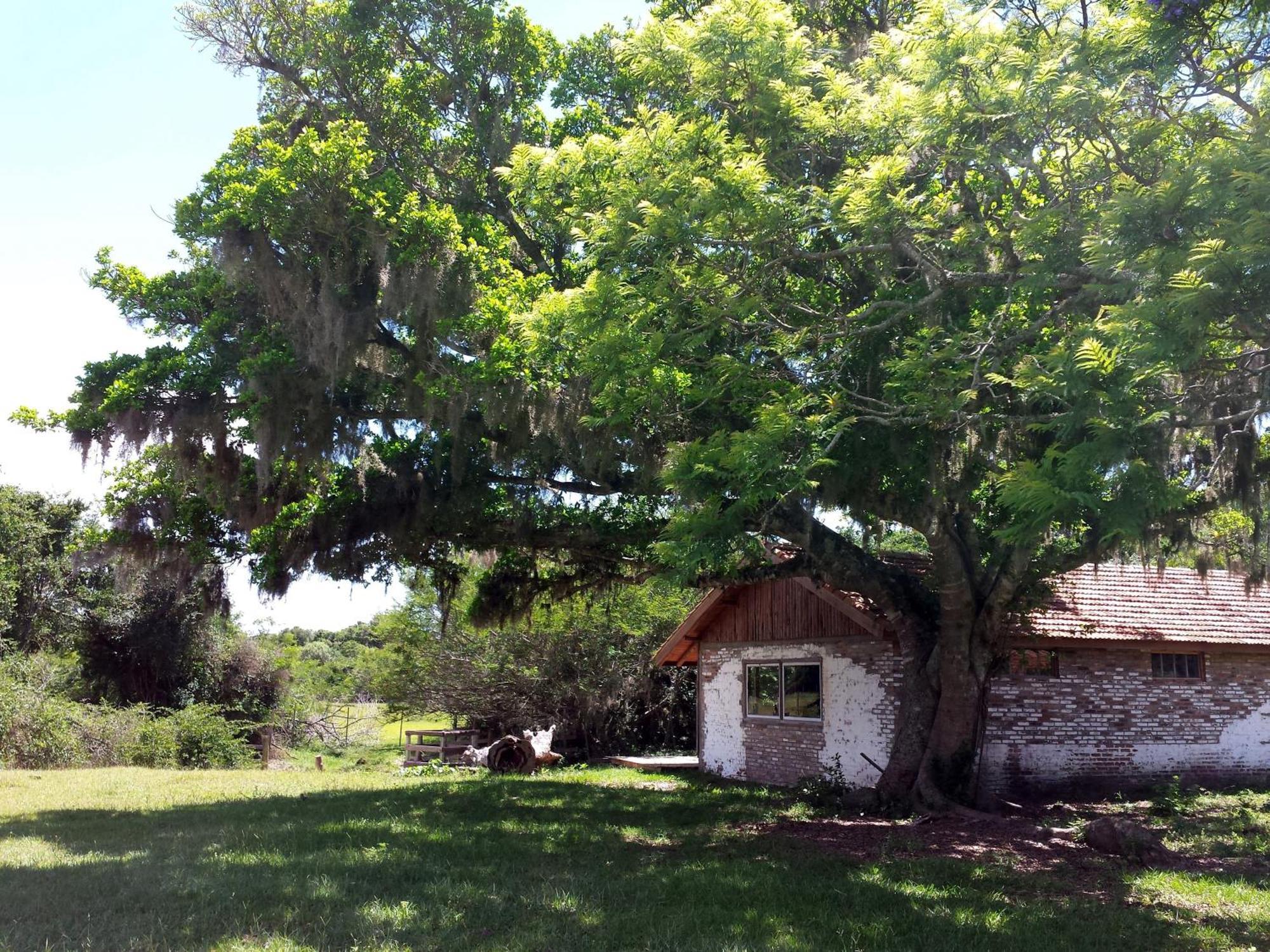 Aldeia Santuario Das Aves Tavares Habitación foto