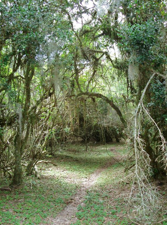 Aldeia Santuario Das Aves Tavares Exterior foto